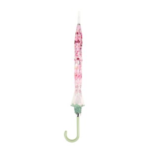 Skėtis automatinis ilgas permatomas D90 cm H84 cm Entre Temps PL381