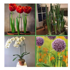 Atrama augalams su kilpute H60 cm Gardenita