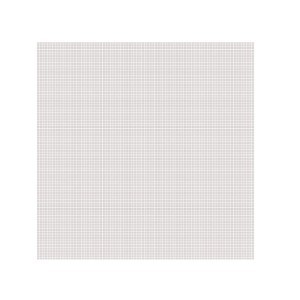 Tinklelis langams nuo vabzdžių baltas 250x250 cm DI0074