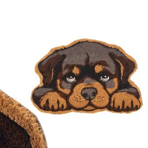 Kilimėlis durų 40x60 cm Šuniukas kokosų pluoštas/PVC Giftdecor 12087
