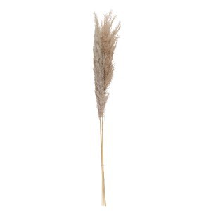 Viksvos (pampos) džiovintos natūralios 3 vnt 110 cm 333971