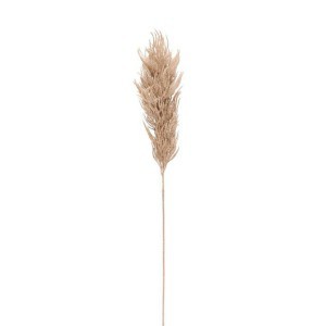 Kortiderija (pampos) dirbtinė gėlė 82 cm 618370