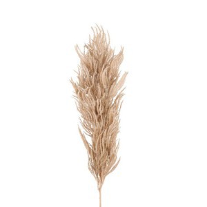 Kortiderija (pampos) dirbtinė gėlė 82 cm 618370