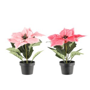 Dirbtinė gėlė puansetija 20 cm (2 spalvų) 4Living 620774