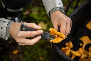 Peilis grybams su šepetėliu sulankstomas MARJUKKA 606929