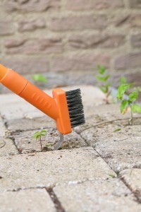 Šepetys tarpams tarp trinkelių valyti su kabliu BlackDecker 871125242466