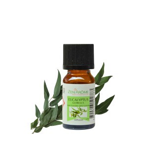 Eterinis aliejus 100% Eukaliptų  10 ml Zen Arome