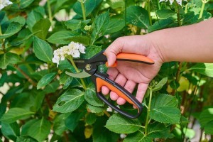 Sekatorius BlackDecker 871125243661