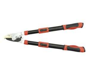 TELESCOPIC HANDLE ANVIL LOPPING SHEARS