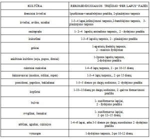 Ekologiškos trąšos JPRenlis (skystos) 1L butelis