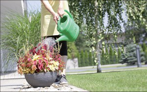 Laistytuvas plastikinis  3 l žalias SPRING Prosperplast (15)