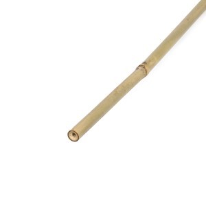 Kuoliukas augalams bambukinis 12-14 mm 150 cm BAM3205 (25)