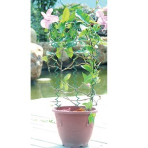 Atrama augalams spiralinė 100 cm 3 vnt. Gardenita