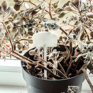 Žymekliai augalams įsmeigiami balti 10 vnt. 15 cm Gardenita (48)