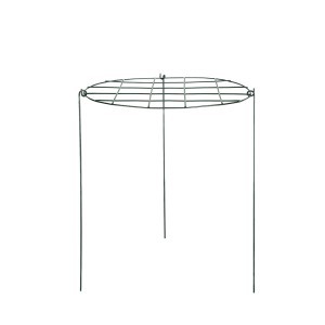 Atrama augalams apvali su grotelėmis žalia sp. D40xH61 cm Gardenita