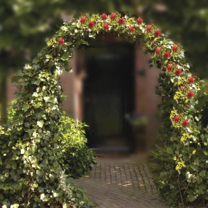 Atrama-arka vijokliniams augalams 240x140 cm KINZO GARDEN 871125230499