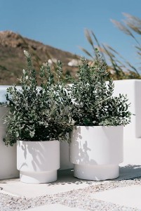 Vazonas HEOS su įdėklu D468xH440 mm balta sp. Prosperplast
