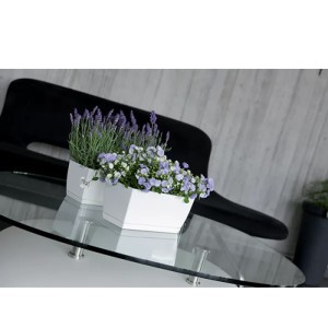 Vazonas COUBI CASE 2,5 L 240x120x110 mm balta sp. Prosperplast