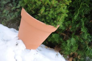 Vazonas CLASSIC 6 l D255xH240 mm plytų sp. Prosperplast