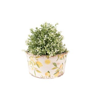 Vazonėlis keramikinis Citrinos 16x9 cm Clayre