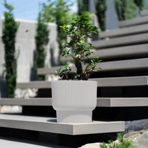 Vazonas MILLY su įdėklu 33/20 L D395xH350 mm baltos sp. Prosperplast