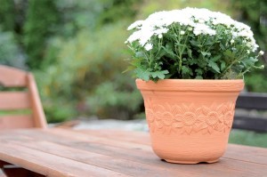 Vazonas SUNNY 34 L D460xH353 mm plytų sp. Prosperplast