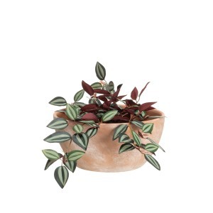 Vazonai keramikiniai 2 vnt D28xH13,5 cm D34xH16,5 cm 4Living 645536