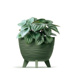 Vazonas FURU su kojelėmis 5 l D236xH195 mm žemės žalia sp. Prosperplast
