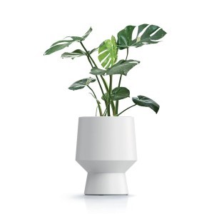 Vazonas HEOS su įdėklu 13/4,5 l D270xH319 mm baltos sp. Prosperplast