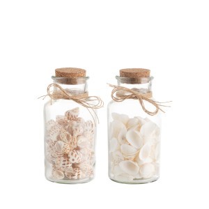 Dekoratyvinės kriauklės stikliniame inde 8x8x17 cm (mix) 4Living 642893