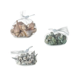 Dekoratyvinės kriauklės 150-160 g (mix 6) 8430540382892