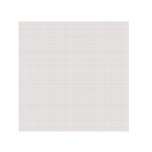 Tinklelis langams nuo vabzdžių baltas 100x100 cm DI0072