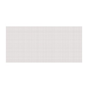 Tinklelis langams nuo vabzdžių baltas  75x250 cm 2 vnt. DI0075