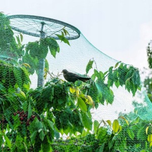 Tinklas apsaugai nuo paukščių baltas  4x5 m su 6 kaiščiais LAR6105