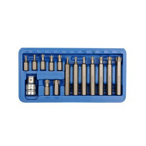 Antgaliai atsuktuvui TORX 15 vnt. T20-T55 CR-V 66580 Vorel