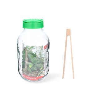 Stiklainis daugiafunkcinis 5 L (vynui, agurkams, kopūstams) su žnypl. CHOM5000-O