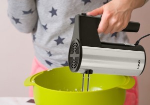 Plakiklis (mikseris) elektrinis su stovu 200-250W 67781 LUND