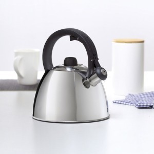 Virdulys 2,5 l VIKOS nerūdijantis plienas Ambition 37143