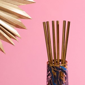 Šiaudeliai gėrimui metaliniai aukso spl. 6 vnt. Sophia Widdop