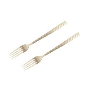 Šakutės 2 vnt 21 cm nerūdijančio plieno, matinės Louvre Quttin QT1507LC2007