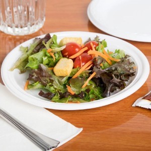 Lėkštės daugkartinės plastikinės, perdirbamos D17 cm 100 vnt Algon BA01054376160