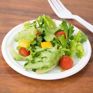 Lėkštės daugkartinės plastikinės, perdirbamos D17 cm 100 vnt Algon BA01054376160