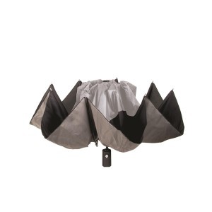 Skėtis automatinis, pritaikytas automobiliui PL361