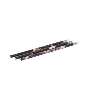 Pieštukai su trintuku 3 vnt Victoria Frances 125357