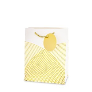 Dovanų maišelis 4 mix 23x18x10 cm 184829