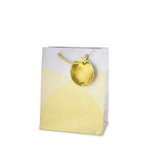 Dovanų maišelis 4 mix 23x18x10 cm 184829