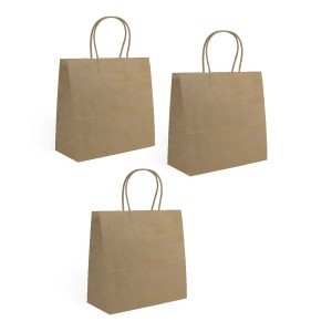 Maišelis popierinis 3 vnt 26x17x26 cm Algon BA03030777929 (24)