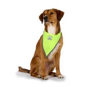 Skarelė šunims signalinė M/L dydžio 22x28 cm 871125242490