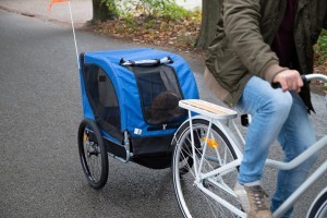 Priekaba gyvūnams vežti prie dviračio iki 40 kg Bicycle Gear 871125219103