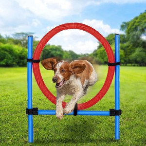 Žaislas šuniui Šokinėjimo žiedas 85x3 cm PET TOYS 871125247432
